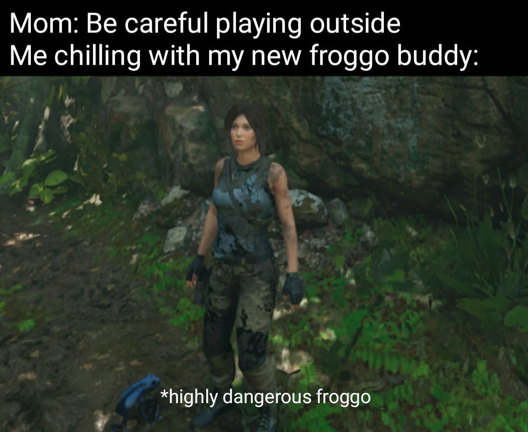 Lick the froggo - meme