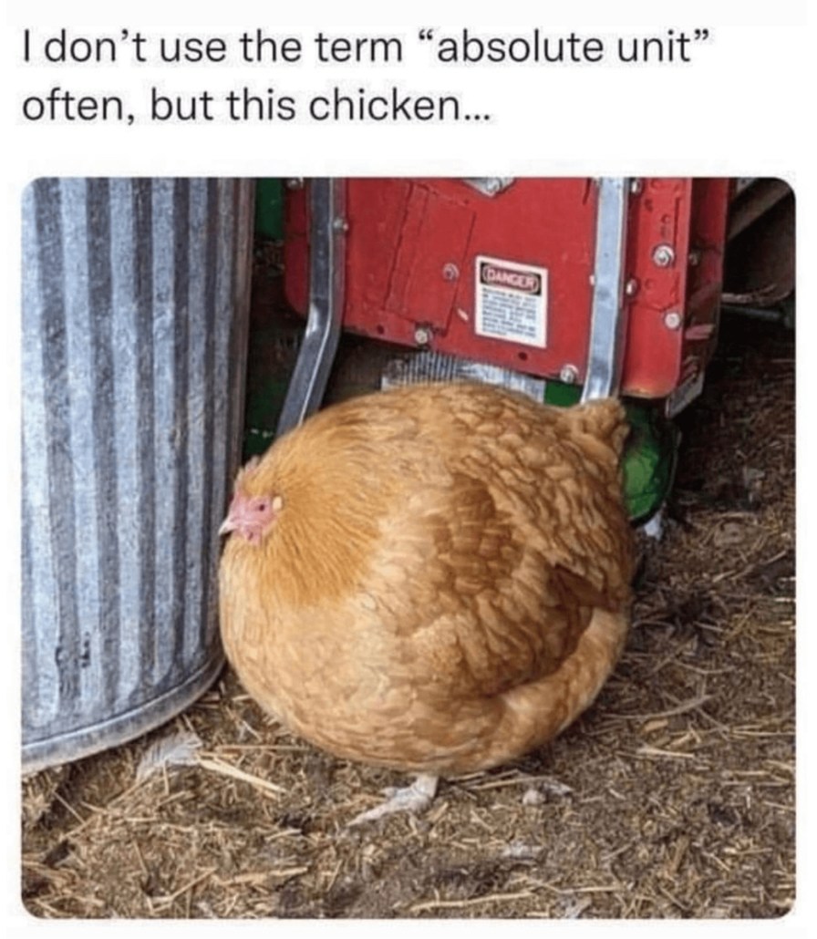 chicken ball - meme