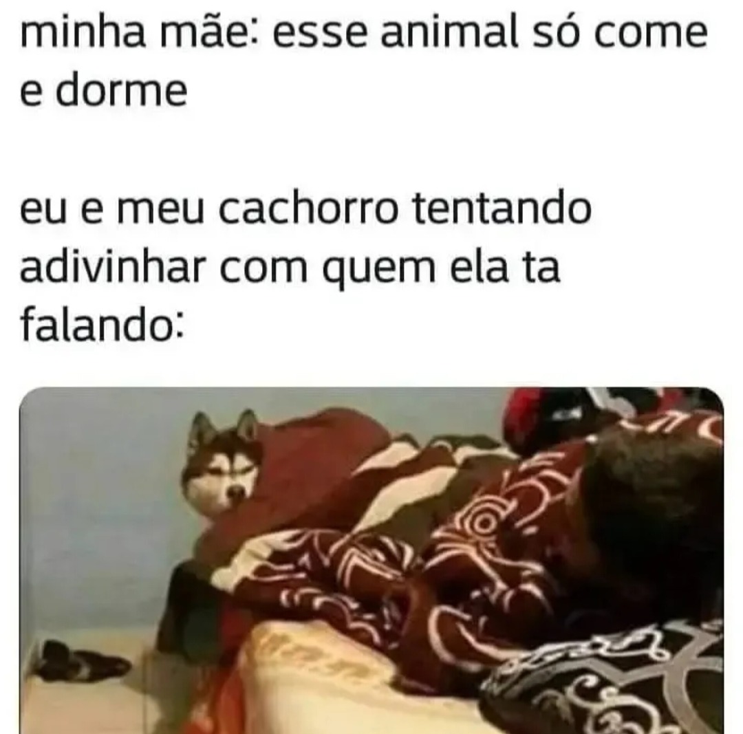 Come e dorme - meme