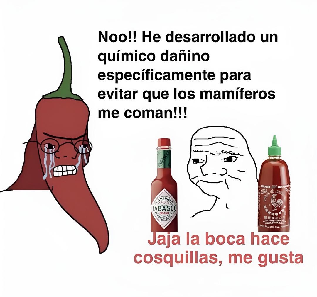 Aguante el picante - meme