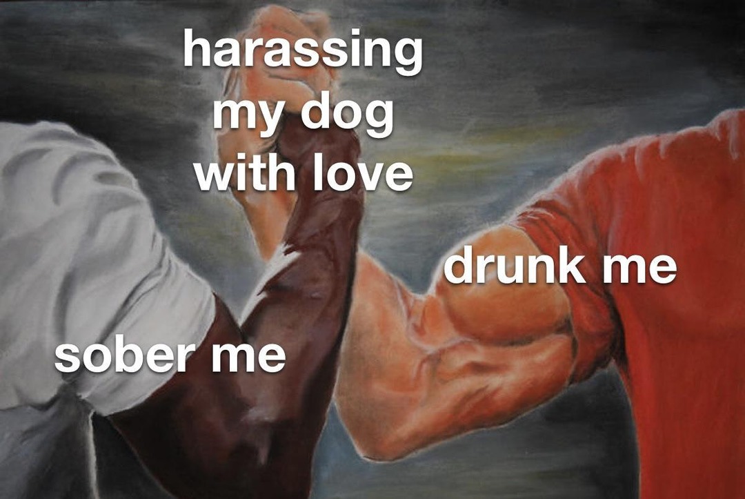 That dog is loved and traumatized at the same time - meme