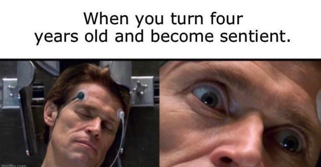 When you turn four years old and become sentient - meme