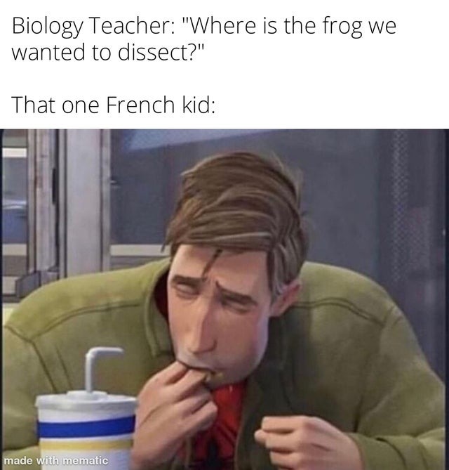 French student - meme