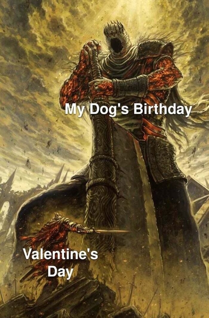 My dog's birthday meme