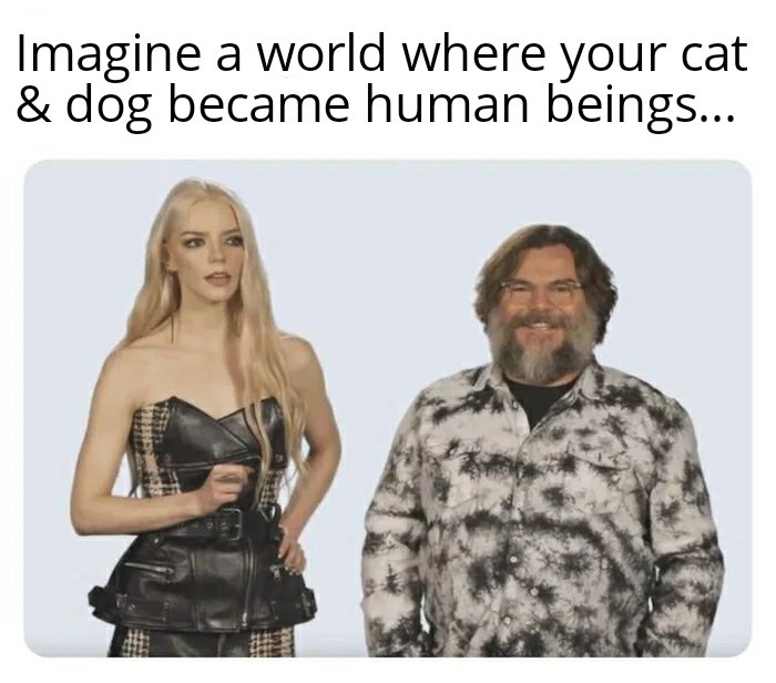 But everyone's cat and dog? - meme