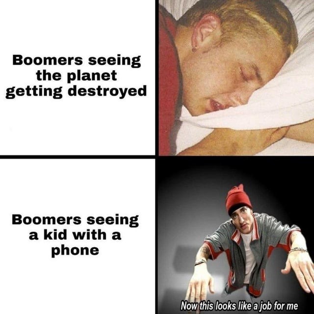 Boomers meme