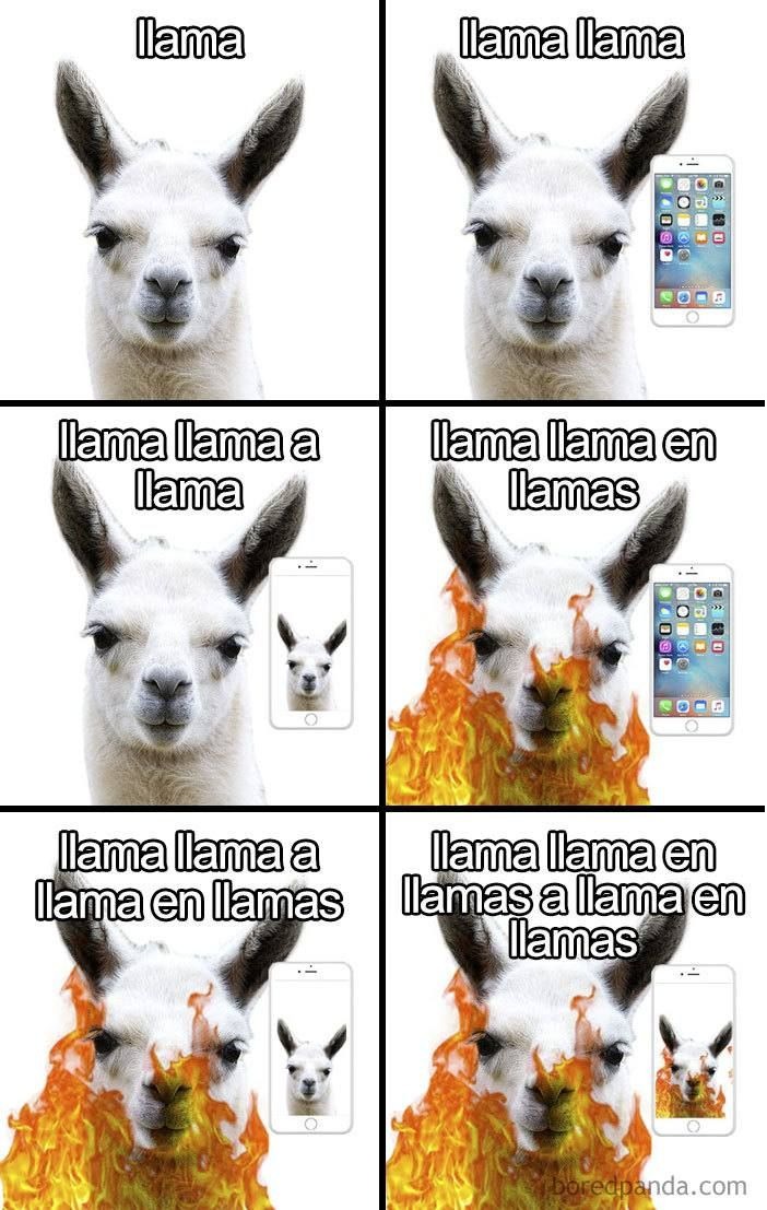 Llama - meme