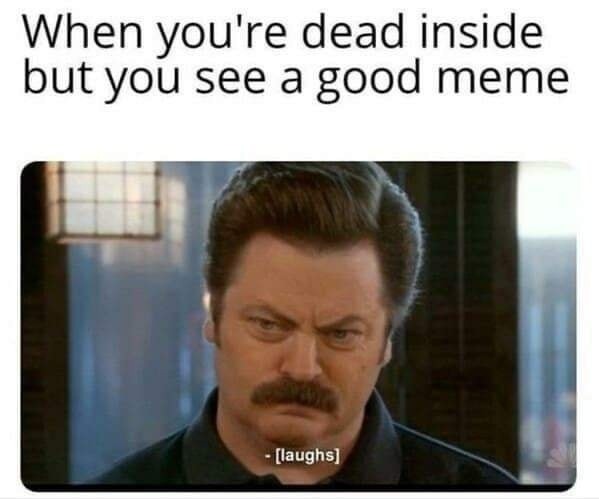 Dead inside but memes still hit sometimes