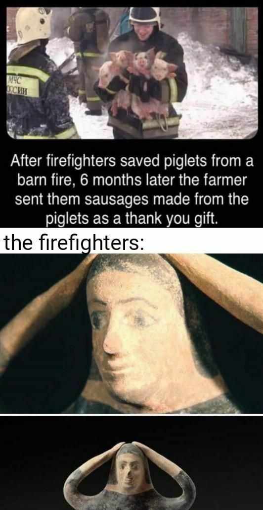 Farmer turned rescue pigs into sausages - meme