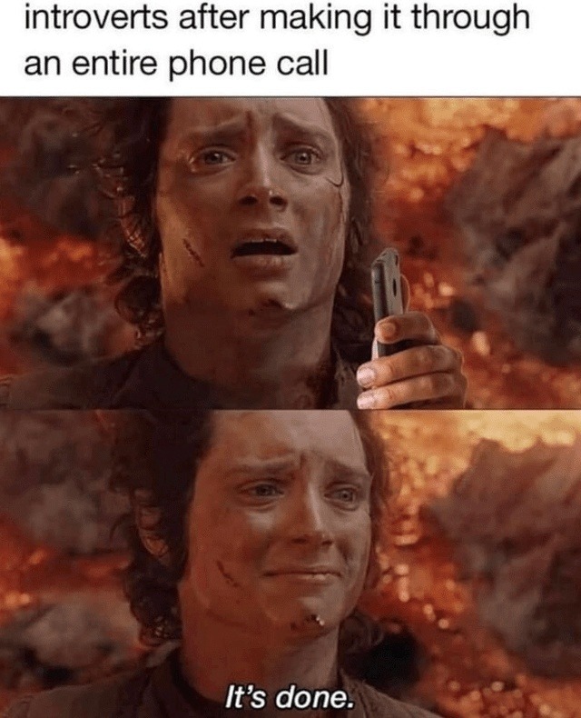 Introverts after a phone call: done forever - meme
