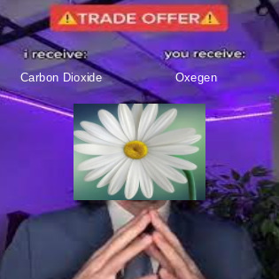 Trade Offer - meme