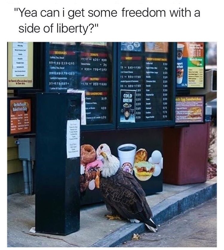 Eagle given freedom and liberty with a dropper - meme