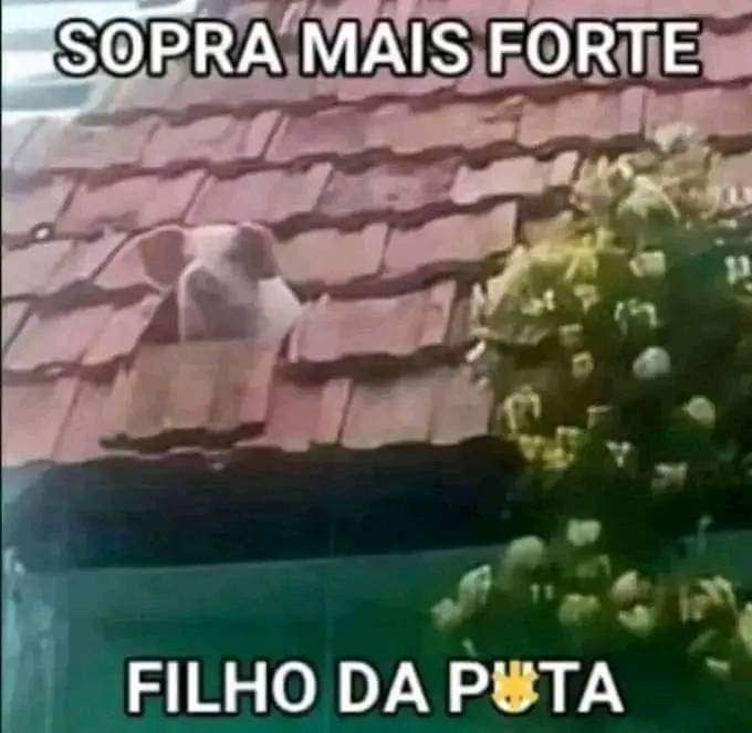 Acabou-se para o lobo. - meme