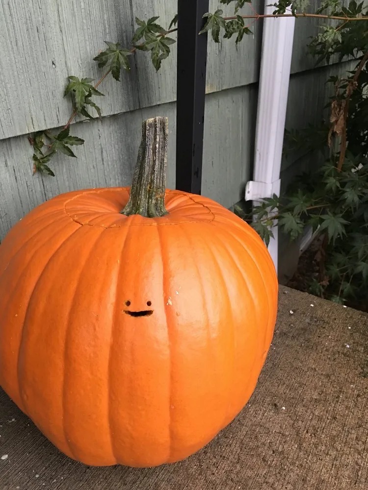 i found this cute pumpkin in one of my folders - meme