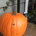 commented item thumbnail