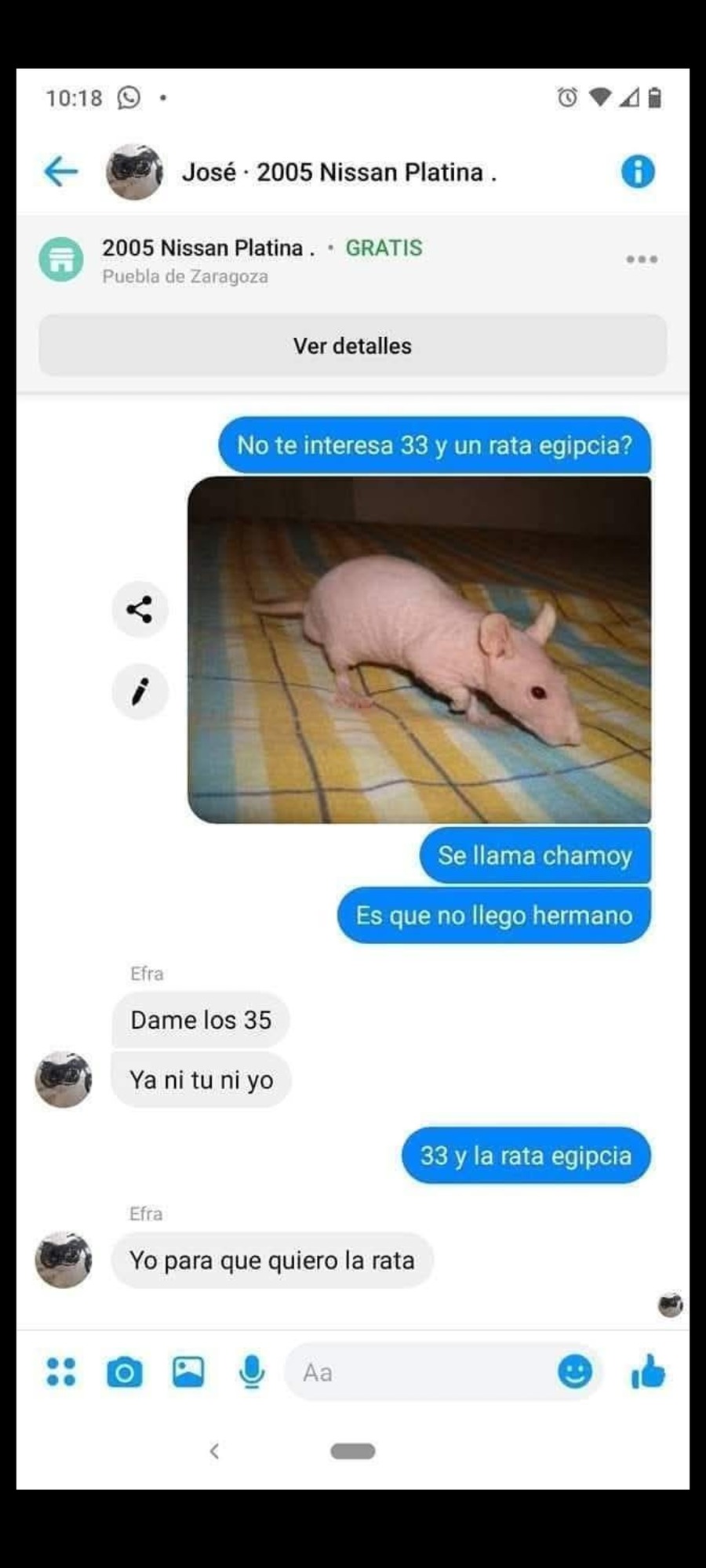 Chamo-Y - meme