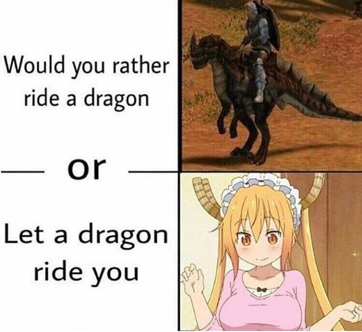 I need a dragon - meme