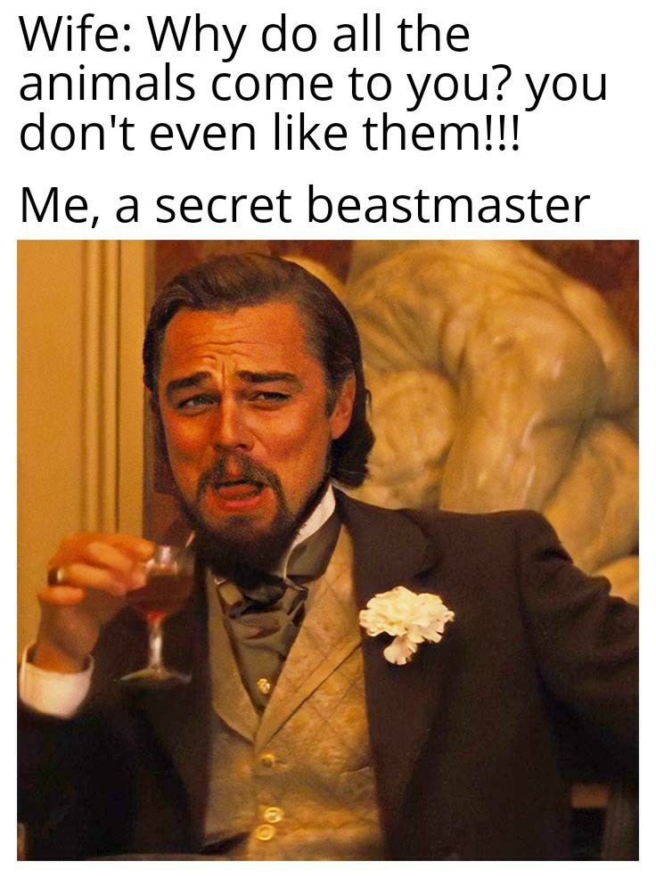 Beastmaster - meme