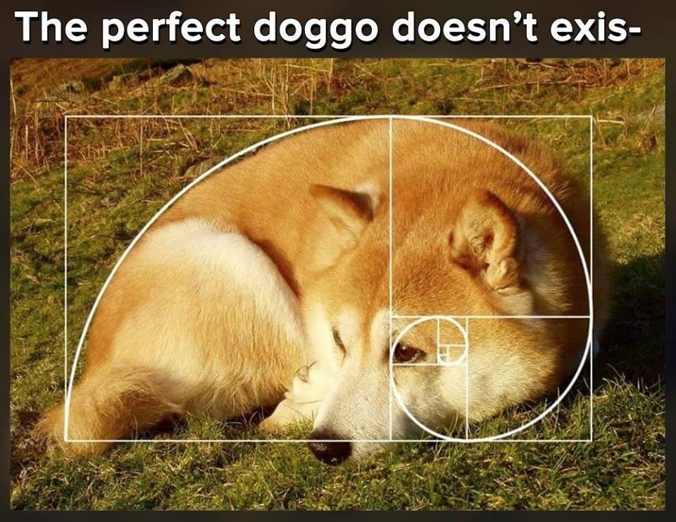 Doggos are the bestos - meme