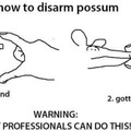 Possums :)