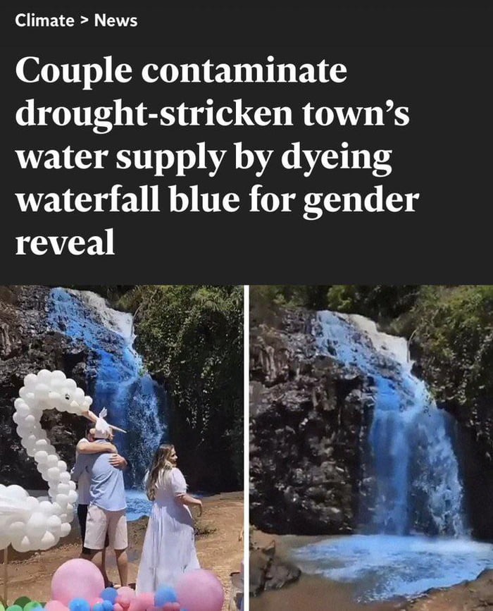 Gender reveals have to be some of the most narcissistic thing ever. - meme