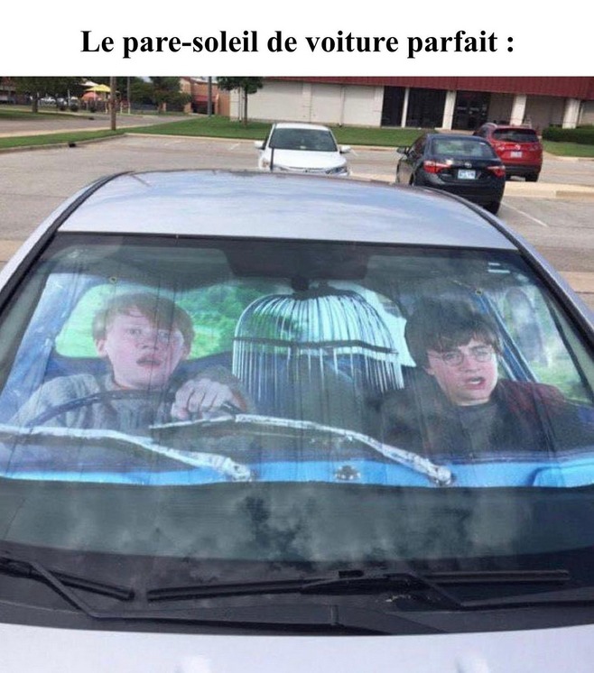 J'adore!! - meme
