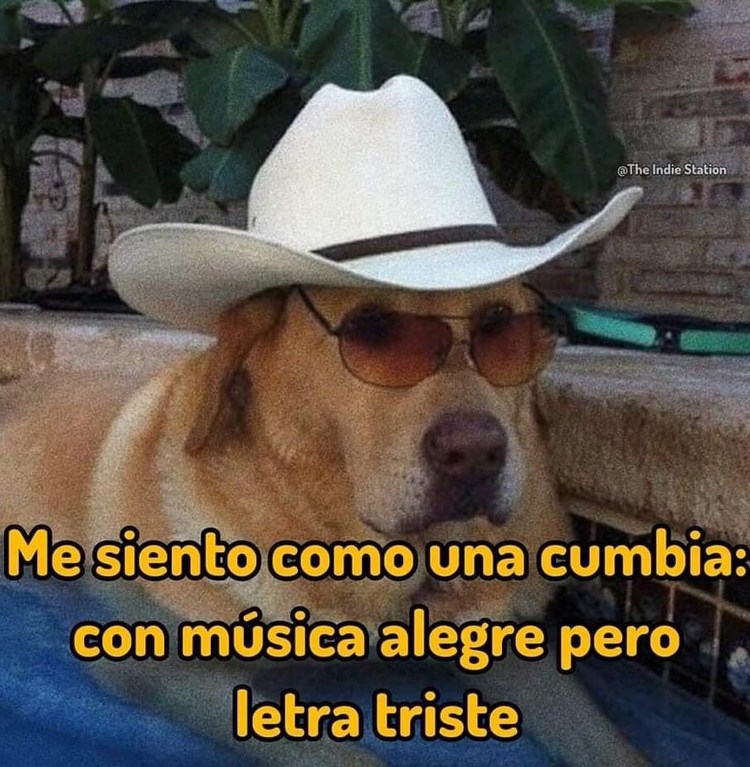 Cada día más cumbiero - meme