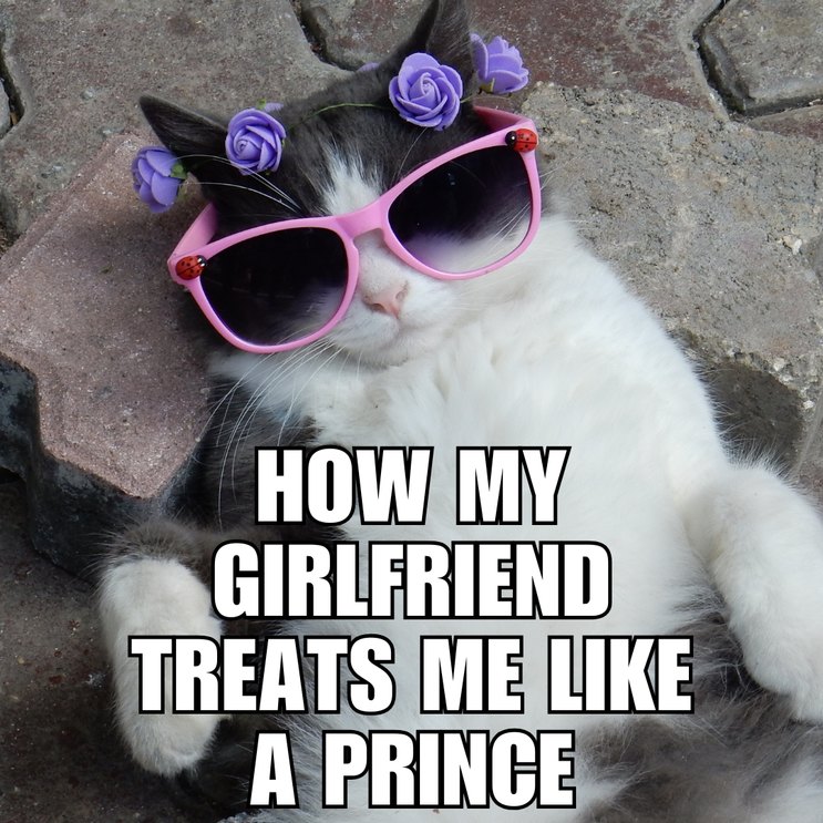 How My Girlfriend Treats Me Like a Prince - meme