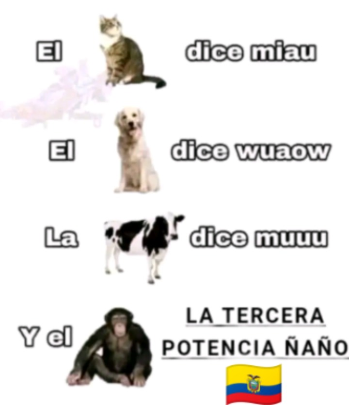 Somos tercera potencia mis ñañus - meme