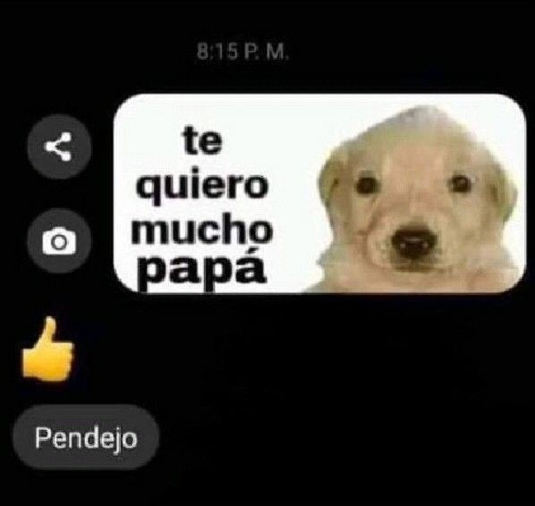 pendejo, ya dame la perra pensión alimenticia putl - meme