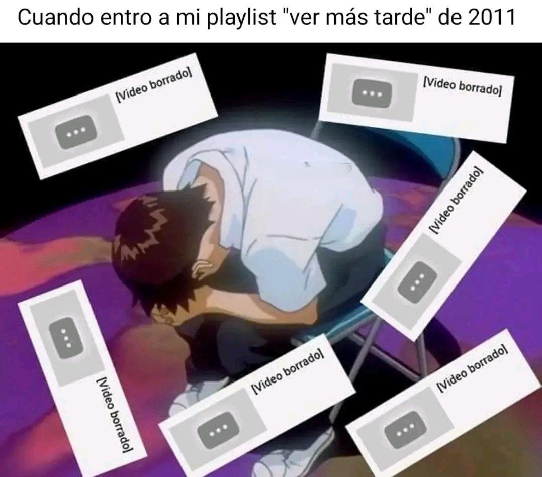 rip mi playlist - meme