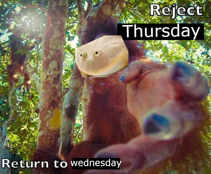 Reject Thursday - meme