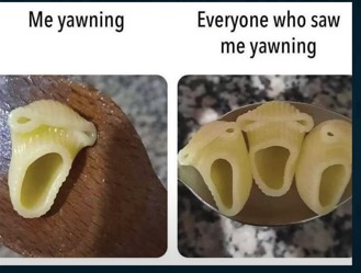 Did this meme make you yawn?
