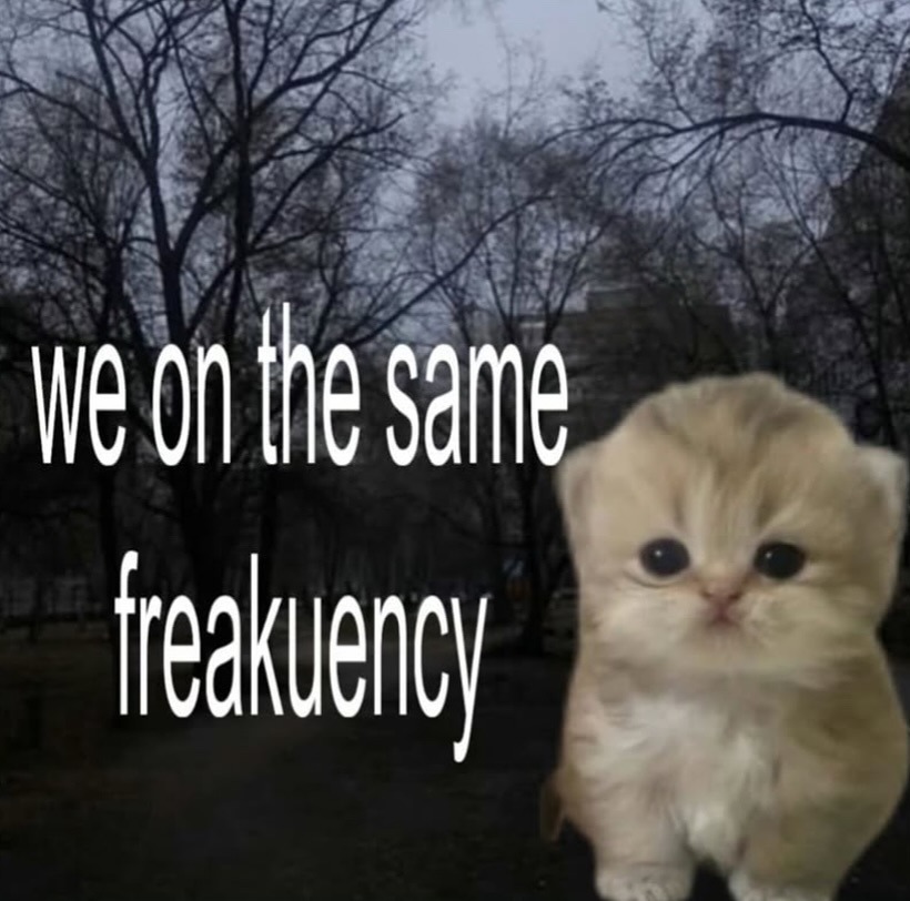 The same frequency as my brain during an anxiety spiral - meme