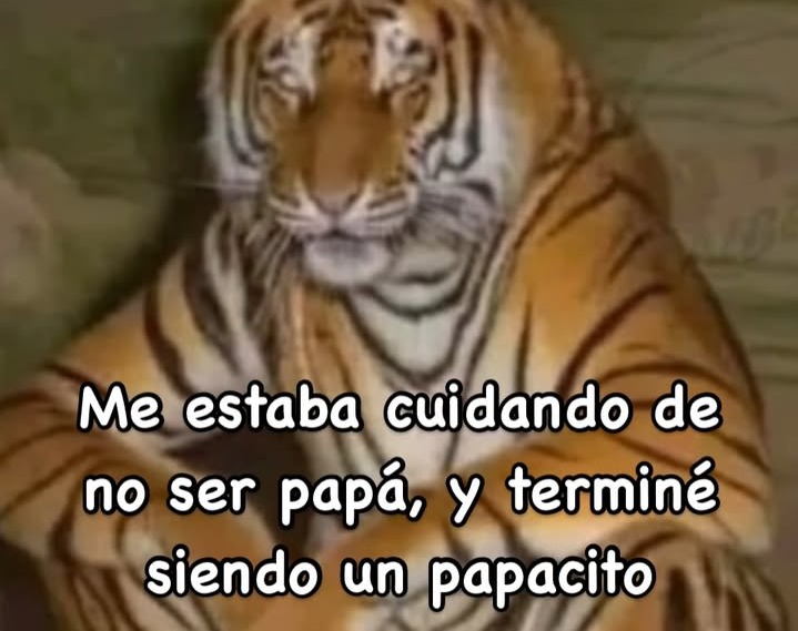 Facts - meme
