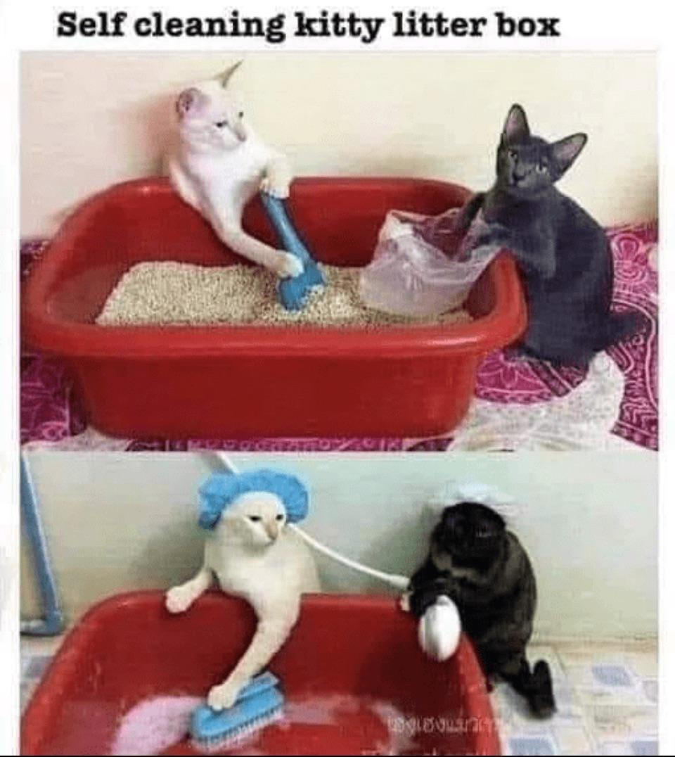 Self-cleaning litter box: cat just peaces out mid-poop - meme
