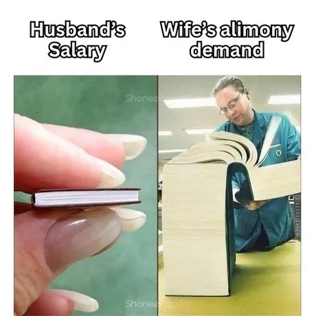 Wife: more money. Husband: less salary. Marriage.exe - meme