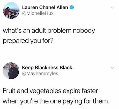 adulting is realizing produce dies faster when you pay for it - meme