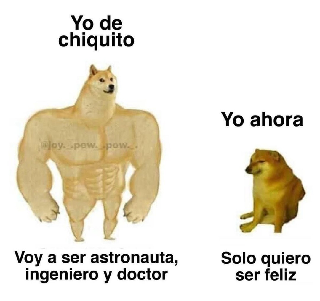 Solo quiero ser feliz - meme