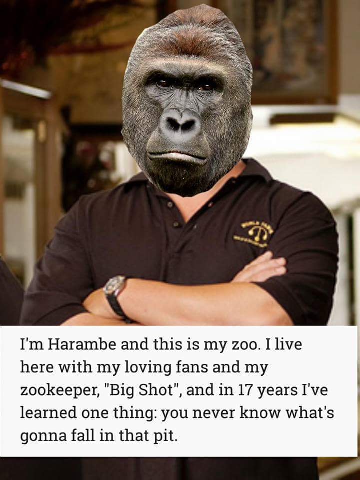 Harambe did 7/11 - meme