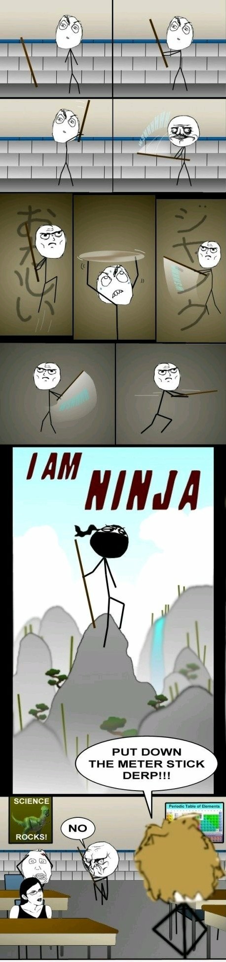 Ninja - meme