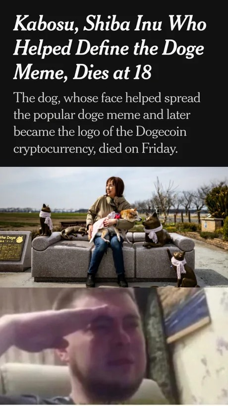 Doge meme is gone...