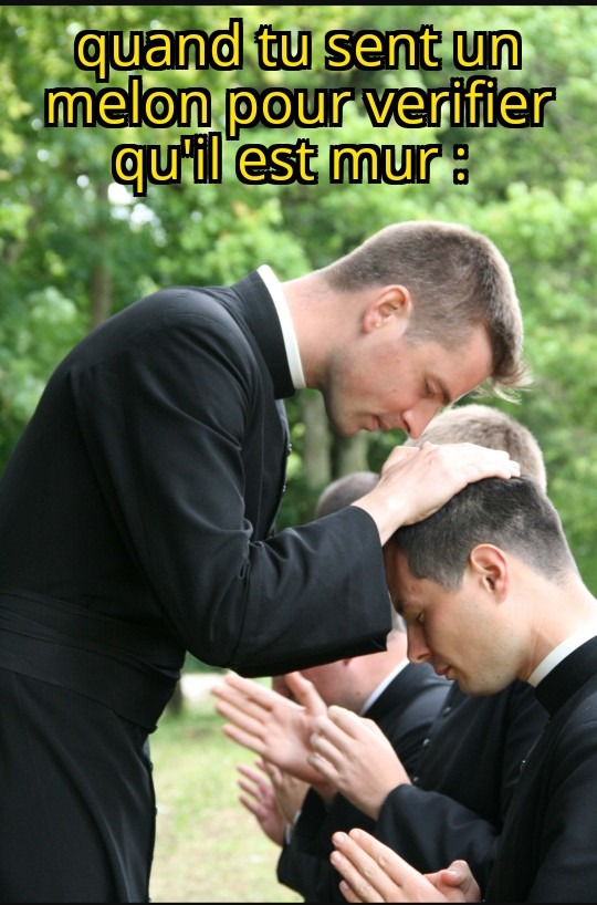Snif snif, ca c est du melon d'lectoure ou chuis po un connaisseur - meme