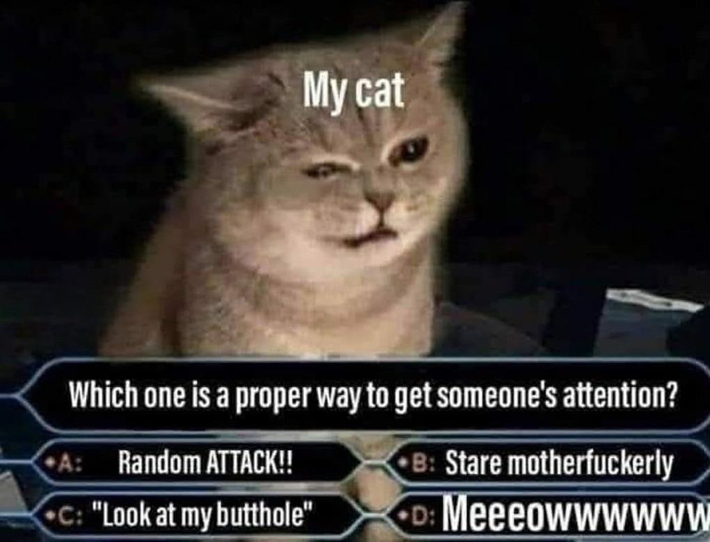 Dart in between legs and tripping him second he enters the room - meme