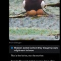 commented item thumbnail