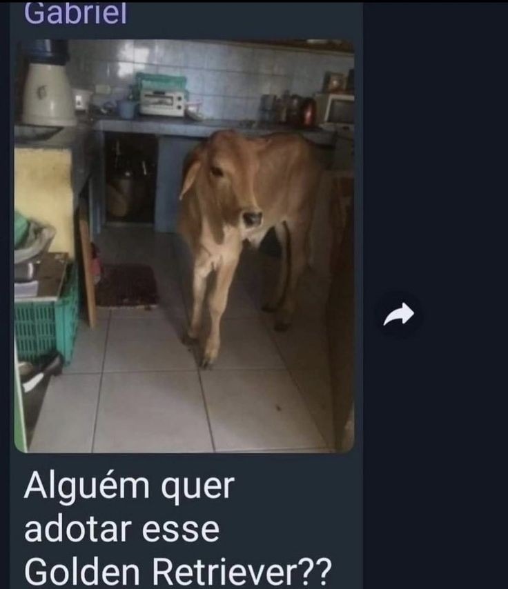 Confia - meme