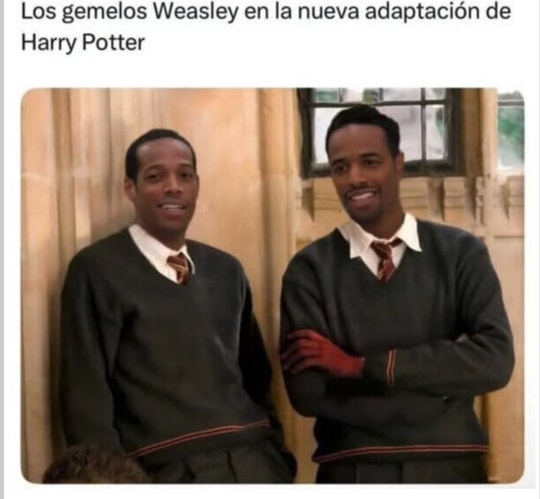 los nuevos gemelos Weasley parecen salidos de una banda indie - meme