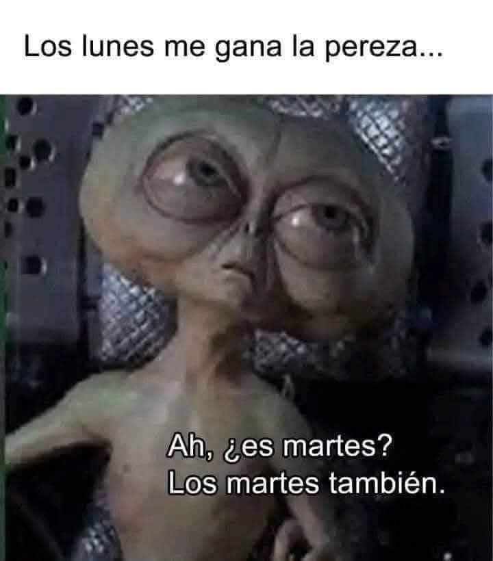 Los lunes flojera... los martes confirmo que sigue - meme