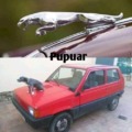 When you can't afford a jaguar