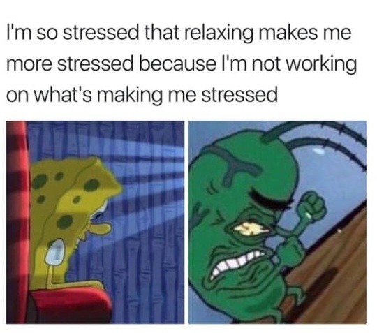 Stressed about everything..... - meme